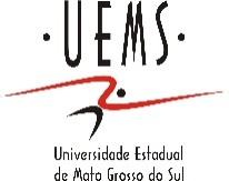 287 ANEXO 1 UNIVERSIDADE ESTADUAL DE MATO GROSSO PRÓ-REITORIA DE PESQUISA E PÓS-GRADUAÇÃO DIVISÃO DE PESQUISA FORMULÁRIO 2 DA ELABORAÇÃO DO PROJETO DE PESQUISA AFIRMAÇÃO DAS IDENTIDADES/DIFERENÇAS