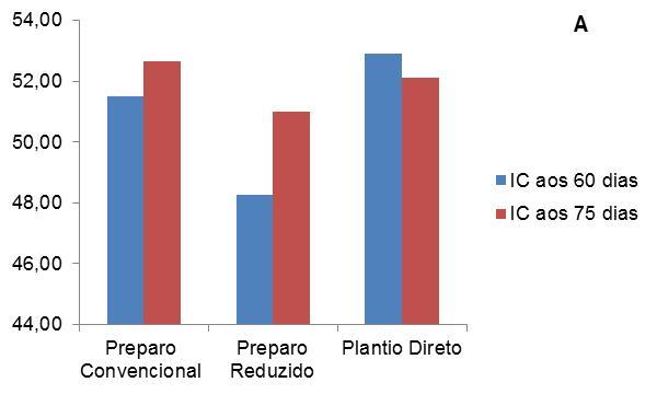 53 4.9 Índice de Clorofila Quanto às leituras do índice de clorofila, aos 60 e aos 75 dias após a semeadura, não houve efeito isolado e interação significativa entre sistema de manejo x sistema de