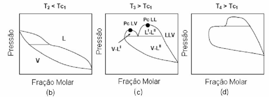 O diagrama de fases do Tipo IV também é identificado pela existência de três linhas críticas (Figura 2.9e).