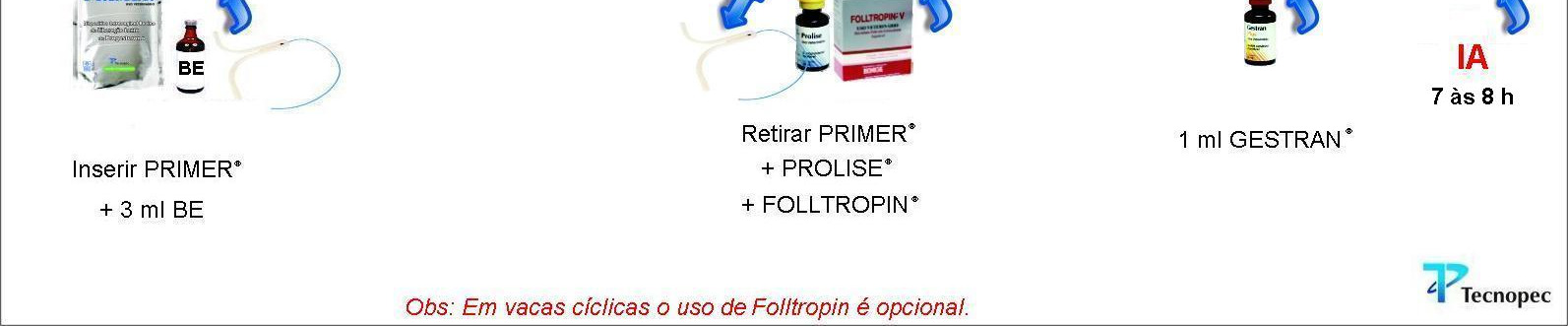 2) Programa IATF Tecnopec: Vacas Leiteiras em Anestro D0 (16h) Inserir PRIMER + 3 ml Benzoato de Estradiol (BE) D8 (16h) Retirar PRIMER + FOLLTROPIN + PROLISE D10(16h) Aplicar 1 ml de GESTRAN PLUS