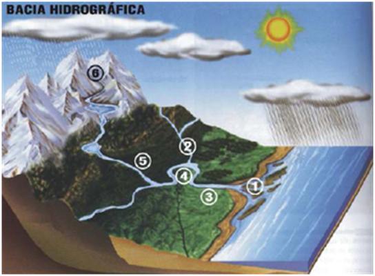 ÁGUAS CONTINENTAIS BACIA HIDROGRÁFICA Região drenada por rio principal e seus afluentes.