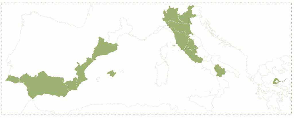 EXPERIÊNCIAS DE COOPERAÇÃO EM PAISAGEM PROJECTO PAYS.MED URBAN Alta qualidade da paisagem constituiu elemento fundamental para a sustentabilidade e competitividade das zonas urbanas mediterrâneas.