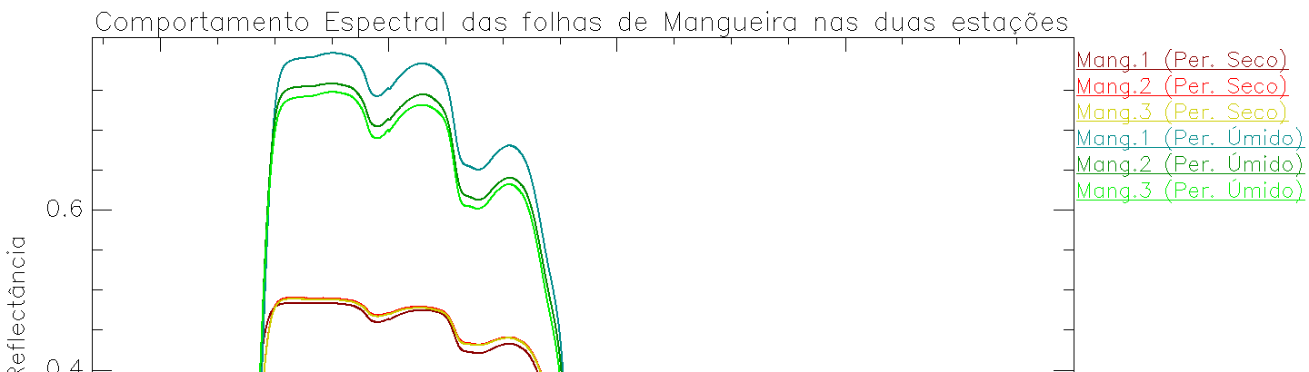 Mangueira Os espectros eletromagnéticos das folhas da mangueira não tiveram acentuada variação.