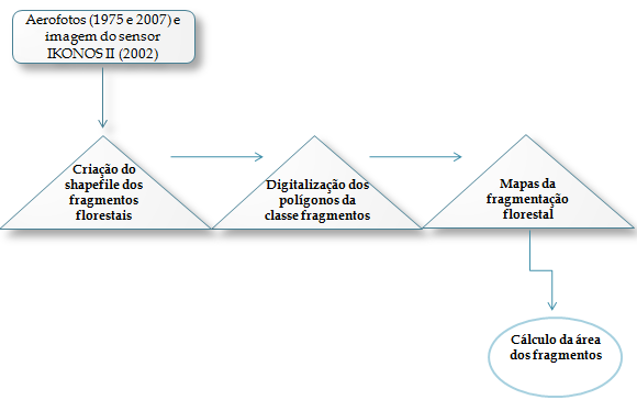 Esse processo foi realizado por meio da calculadora de valores da tabela de atributos do próprio arquivo de imagem vetorial poligonal.