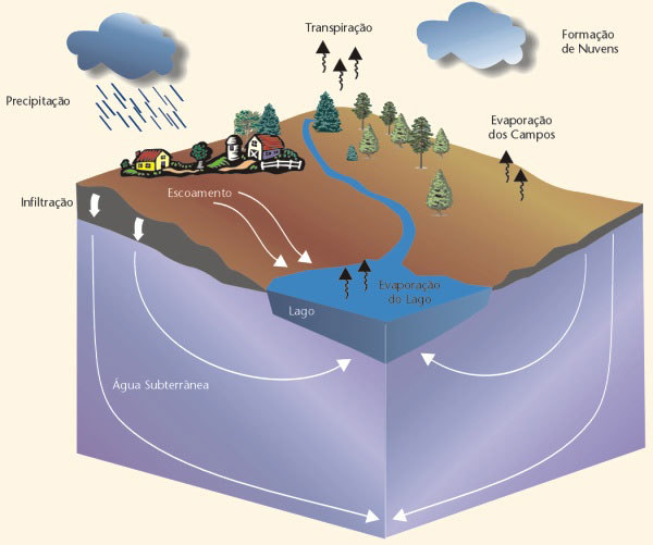 Figura 01 Ciclo Hidrológico da Água Esta descrição do ciclo hidrológico dá-nos uma imagem simplificada, pois dentro deste ciclo existem vários subciclos. A água passa por vários ambientes.