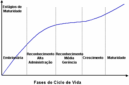 As competências da equipe de projeto se referem à possibilidade de indivíduos trabalharem em conjunto visando atingir os objetivos do projeto.