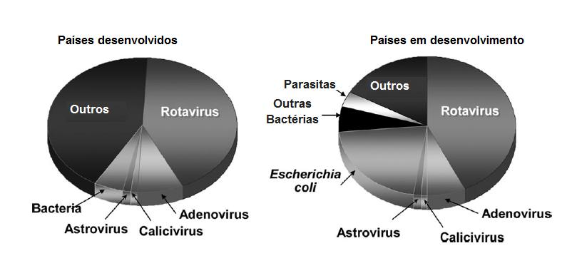 25 A participação do rotavírus frente as demais etiologias de GA é semelhante entre as crianças dos países desenvolvidos e em desenvolvimento.