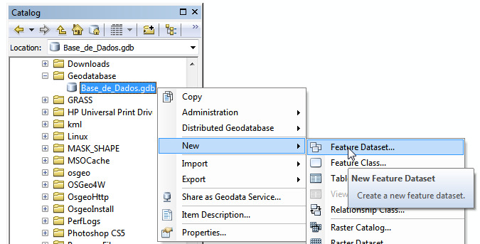 No ArcCatalog 10, clique com o botão direito do mouse sobre o novo arquivo Geodatabase e selecione a opçãonew Feature Dataset: Insira um nome para o Feature Dataset: Selecione a