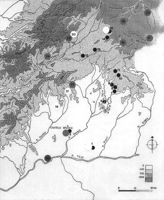 FIG. 3 Registos arqueológicos do Bronze Final na Beira Interior. 1. Monforte. 2. Monte de São Martinho. 3. Cabeça Alta. 4. Idanha-a-Nova. 5. Monte do Trigo. 6. Cachouça. 7. Monsanto. 8. Moreirinha. 9.