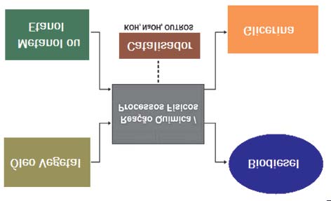 Oleaginosas e seus Óleos: Vantagens e Desvantagens para Produção de Biodiesel 15 2.