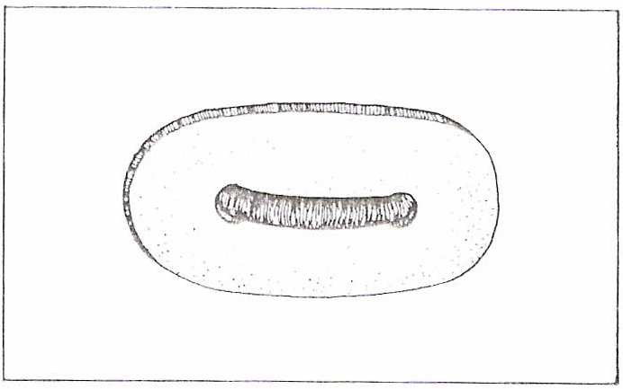 Deixa-se o barbante tão curto quanto possível, ficando só o espaço suficiente para colocar o dedo ao segurar o instrumento.