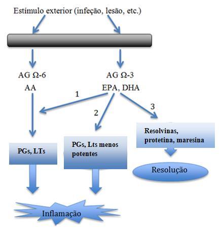 Assim, a redução da produção de eicosanóides inflamatórios a partir do EPA e DHA, é a justificativa do seu uso em determinadas patologias inflamatórias (Kelley, 2001). Figura 9.