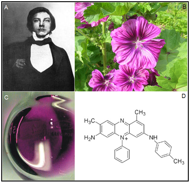 21 quimicamente, substituindo em larga escala os denominados naturais (SÃO JOSÉ et al., 2007).