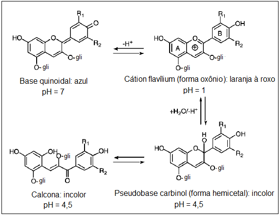 35 que predomina em ph 1,0 é colorida enquanto a forma hemicetal é incolor. Assim, para cianidina-3-glicósideo, a ph 3,01, 50% estará sob a forma colorida e 50% será incolor.