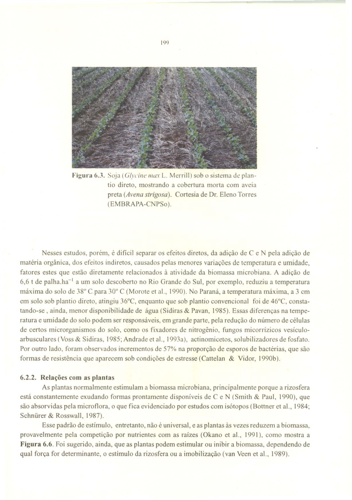 199 Fi:;ura 6..1. Soja (GI)'('jl/e IIW\" L. Merrill) sob o sistema de plan~ tio direto, mostrando a cobertura morta com aveia preta (Avella slrigosa). Cortesia de Dr. Eleno Torres (EMBRAPA-CNPSo).