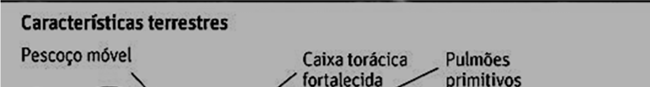 20 Q UESTÃO 34 A hipofosfatemia é um distúrbio determinado por um alelo dominante ligado ao cromossomo X que, afetando a reabsorção renal de fosfato, resulta em baixos níveis de fosfato no sangue e