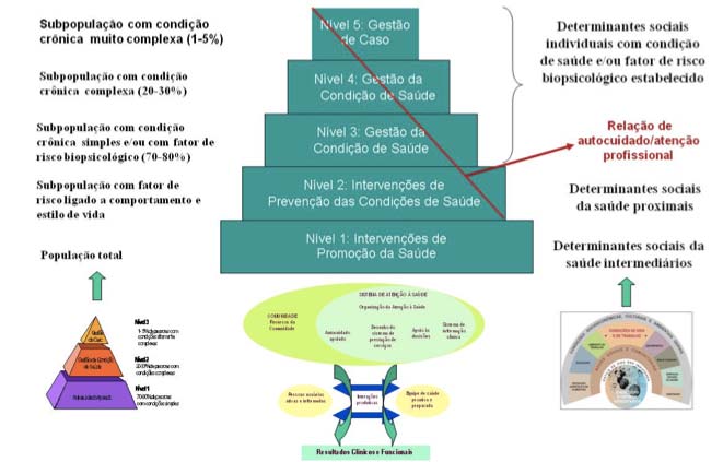 Modelo de Atenção às Condições