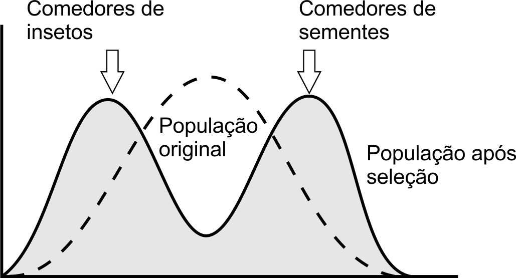 BIOLOGIA 1 O período inicial da formação da Terra foi marcado por temperaturas altíssimas e pelo bombardeamento contínuo por asteroides.