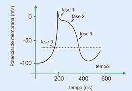 37. (ENEM-MEC) O poder das pontas é uma consequência da forma como as partículas portadoras de carga elétrica se distribuem na superfície de um condutor.