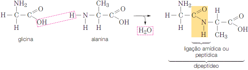 Um exemplo pode ser o da iteração etre a glicia e a alaia, a qual origia um dipeptídeo: A uião de ()