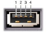 Barramento FireWire: Também chamado de IEEE 1394, não é um barramento muito comum, mesmo nos computadores mais novos (o USB é mais usado).