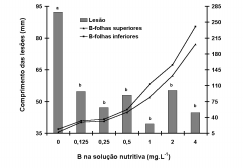 A deficiência ou o excesso de boro tornaram o Eucalyptus citriodora mais suscetível ao ataque de alguns fungos considerados patógenos secundários, como otryosphaeria ribis e Lasiodiplodia theobromae,