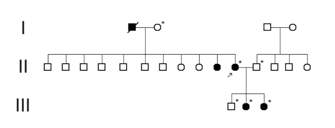 23 FIGURA 1: HEREDOGRAMA REPRESENTANDO MEMBROS DAS TRÊS GERAÇÕES DA FAMÍLIA ANALISADA NESTE ESTUDO A seta indica a probanda e os asteriscos (*) representam os membros analisados no trabalho.