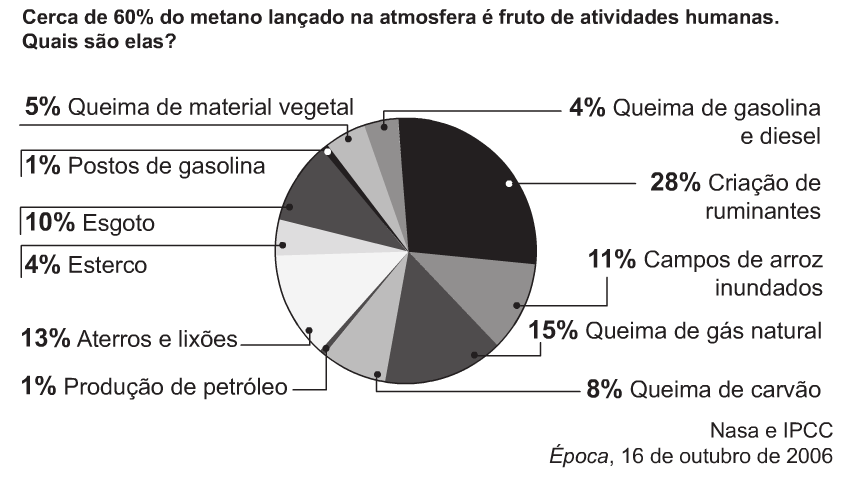 Mufasa: Sim, Simba, mas deixe-me explicar, quando você morre, o seu corpo se torna grama, e o antílope come ela e assim estamos todos ligados no grande ciclo da vida.