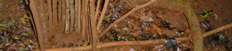 Rente à abertura do cercado, disposta perpendicularmente, é tracionada uma vara verde.