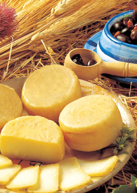 106» o alentejo é gastronomia e vinhos COY COY COY Queijos No Alentejo existem três regiões com produção de queijos DOP: Nisa, Évora e Serpa.