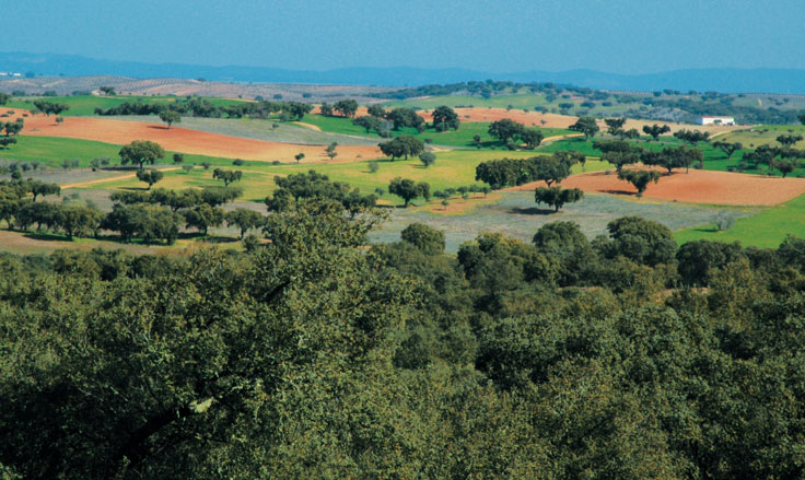 o alentejo é natureza «43 CENTRO ECOTURÍSTICO DA RIBEIRA GRANDE A paisagem que se estende entre Fronteira e Monforte é de uma beleza irresistível: são os ondulados prados verdejantes onde pastam