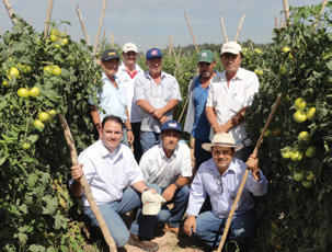 Produto correto garante ren Como forma de auxiliar os produtores na escolha das cultivares corretas para cada estação do ano e para cada região, a Seminis tem realizado visitas e dias de campo com o