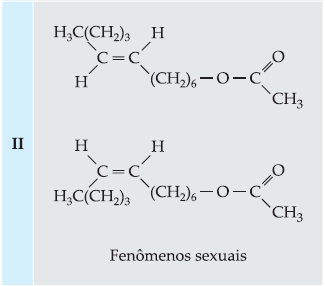 e) um éster cíclico, cuja molécula tem dois carbonos quirais.