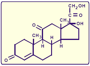87 Dos seguintes ácidos, qual apresenta isômeros ópticos? a) CH 3 COOH. b) CH 3 CHClCOOH. c) C 6 H 5 COOH. d) CH 3 CH 2 COOH. e) CCl 3 COOH.