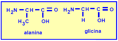 e) somente a afirmativa III é verdadeira. 97 (Unimep-SP) O 1,3 dicloro-ciclobutano: a) apresenta isomeria espacial somente óptica. b) apresenta isomeria espacial somente cis-trans.