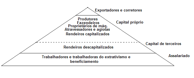 seguir, elaborada por d ALVA (2007), representa os atores sociais da cadeia produtiva da atividade (Figura 1). Figura 1 Atores Sociais no Processo Produtivo da Carnaúba Fonte: d ALVA (2007).