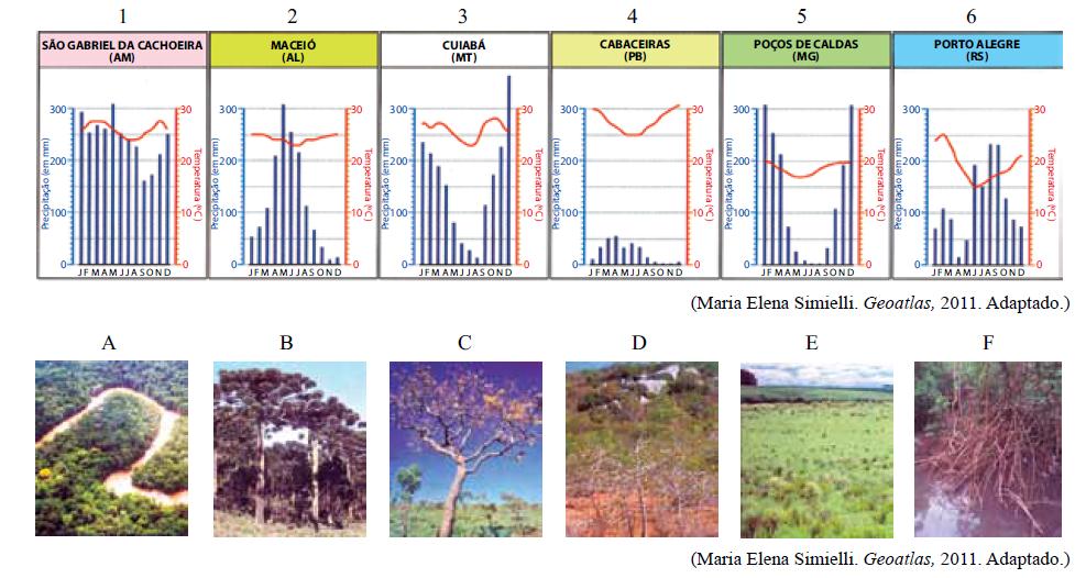 Questão 08 Analise os climogramas dos principais tipos climáticos do Brasil e as fotos que retratam as formações vegetais correspondentes.