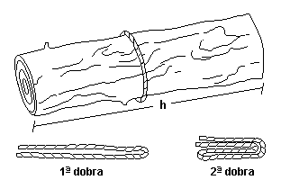 a) 1 b) 2 c) 3 d) 4 e) 5 25. Para calcular a capacidade total da garrafa, lembrando que você pode virá-la, o número mínimo de medições a serem realizadas é: a) 1 b) 2 c) 3 d) 4 e) 5 26.