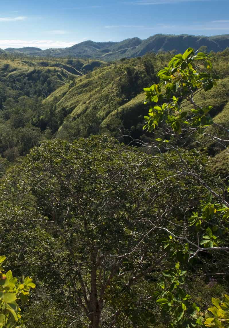 Criada em 1990, a Fundação Grupo Boticário de Proteção à Natureza adotou o atual nome em 2010, com a constituição do Grupo Boticário (antes era chamada Fundação O Boticário de Proteção à Natureza).