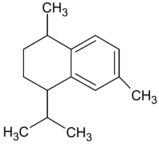 (1R*, 4S*)-7-hidroxicalameneno (S3) foi isolado das folhas