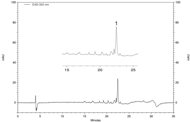 Os espectros no UV dos picos eluídos por CLAE-DAD de EHexOsp tiveram intensidade muito fraca, impossibilitando a obtenção das absorções máximas (Figura 15).