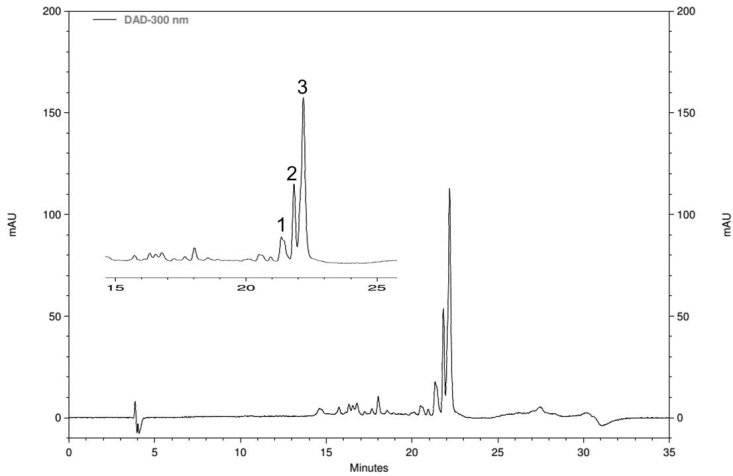 Figura 17: Cromatograma por CLAE-DAD de EDiOPer (λ=300 nm) e espectros no UV