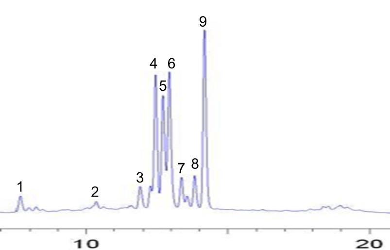 Os espectros no UV dos picos 1, 2 e 3 do cromatograma por CLAE-DAD da fração 5/6 (Figura 25, Tabela 21) apresentaram bandas de absorção semelhantes aos picos 1, 2 e 3 do cromatograma de EDiOPer e