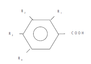 I-INTRODUÇÃO (HCA, hydroxycinnamic acid). Estes derivam de duas moléculas não fenólicas: o ácido benzóico e o ácido cinâmico, respectivamente.