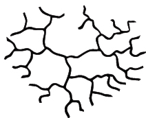 2. Polímero Linear Polímero Ramificado Polímero Reticulado Polímero em Estrela Polímero em Pente