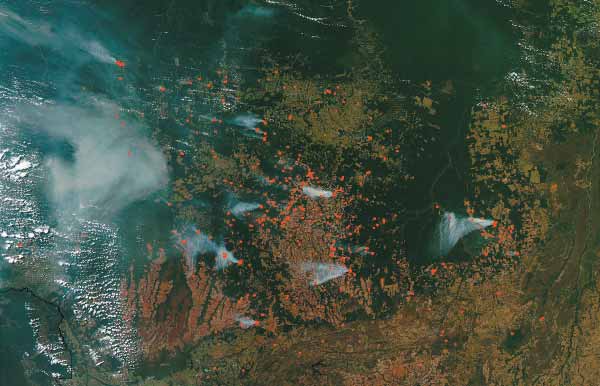 41 Figura 18: Imagem de uma região do estado do Mato Grosso obtida em 11 de julho de 2003 pelo sensor MODIS do satélite Terra.