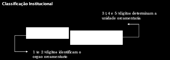 Classificação Institucional responde à pergunta Quem é o responsável pela programação?