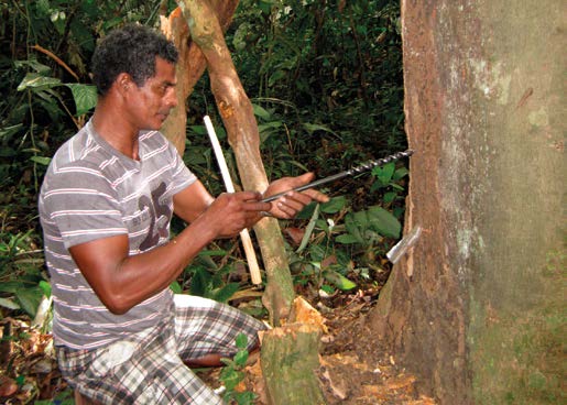 Histórias de Valor QUILOMBOLAS DA CALHA NORTE VENDEM ÓLEO DE COPAÍBA PARA EUROPA Na região do município de Oriximiná, na Calha Norte do rio Amazonas (Pará), as comunidades quilombolas que