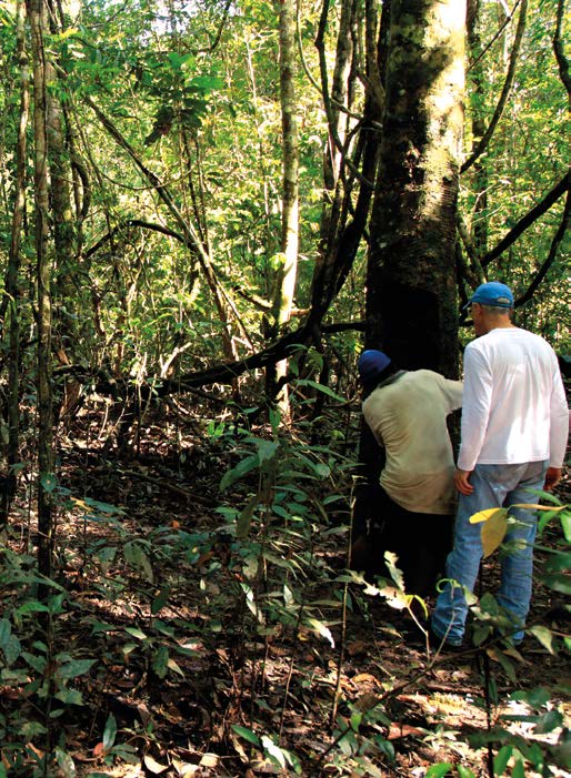 TERRA DO MEIO: EMPRESAS E COMUNIDADES FIRMAM PACTO PELA SUSTENTABILIDADE Em 2009, quando chegaram à Terra do Meio (PA) para se juntar a outros parceiros locais, os técnicos do IMA- FLORA encontraram