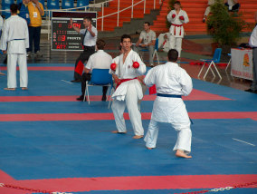 Os representantes portugueses nas provas de Kata equipa foram os Clubes de Vila das Aves (